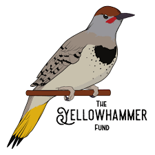 Yello Hammer